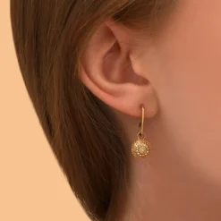 Farah fine stud earrings for pierced ears - gold